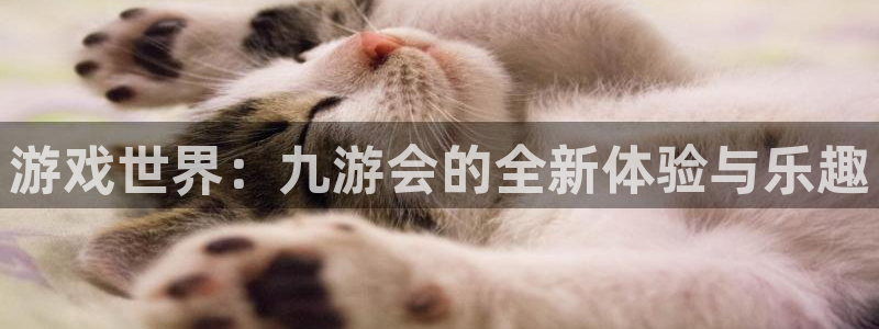 壹号娱乐app下载安装最新版