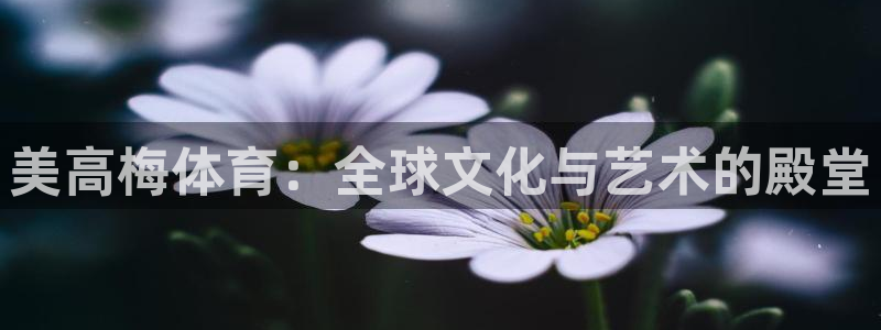 壹号娱乐com