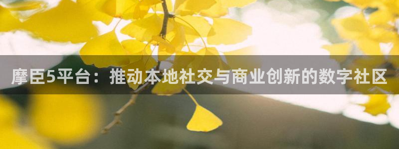 壹号娱乐官网下载