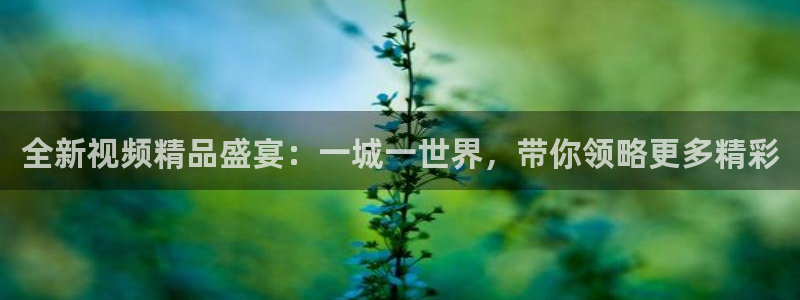 壹号国际app免费下载安装