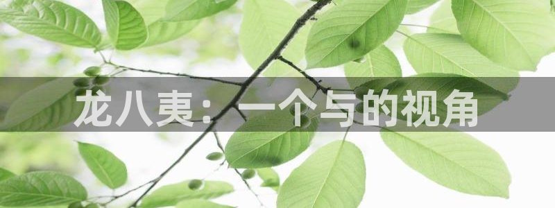 壹号top娱乐