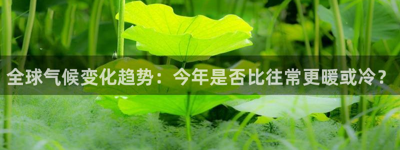 壹号app官网版下载