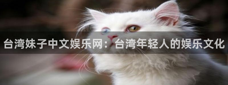 壹号娱乐app下载安装