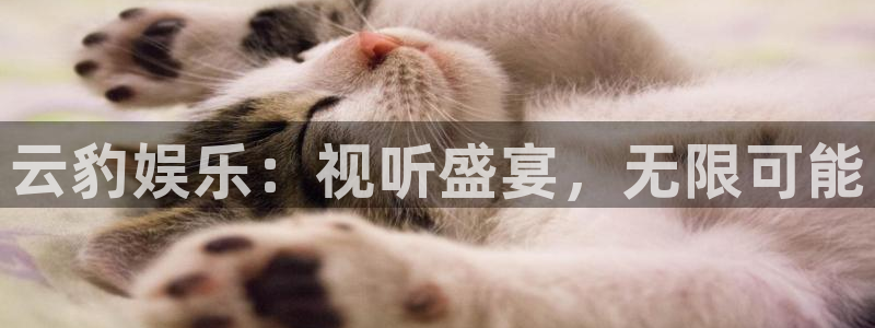 壹号大舞台怎么下载