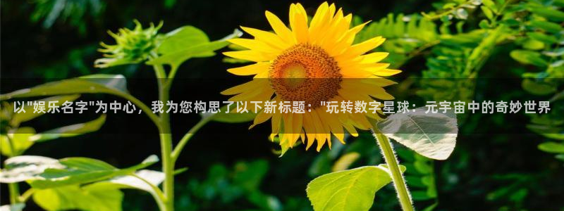 壹号app下载