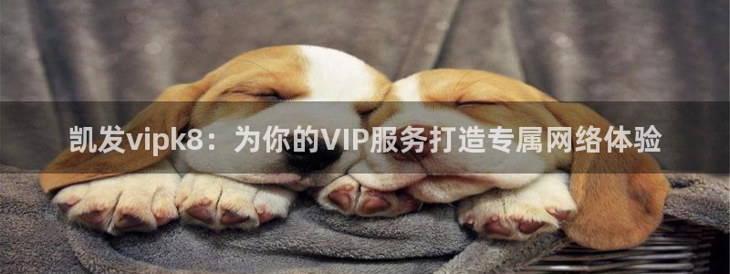 壹号电子娱乐app下载最新版