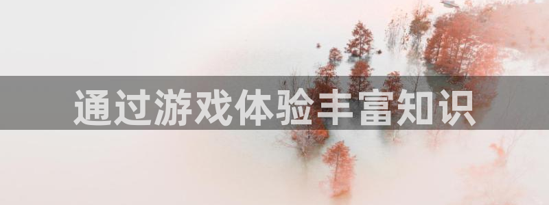 壹号娱乐网站