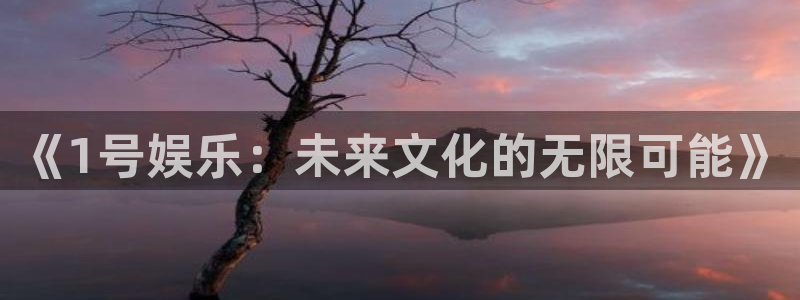 壹号娱乐app网页入口
