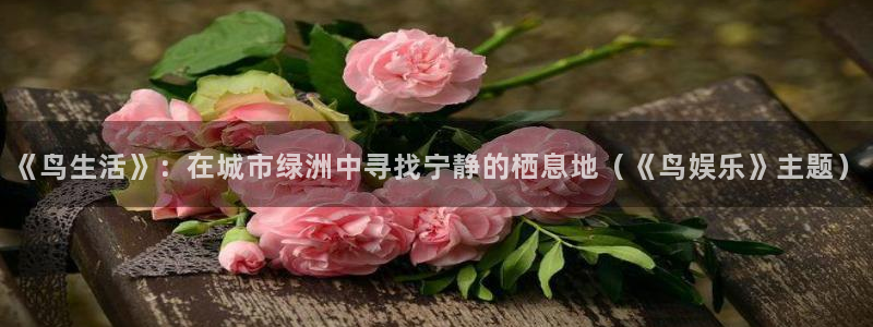 壹号平台下载安装