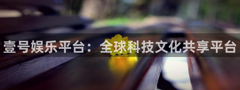 壹号电子娱乐app下载