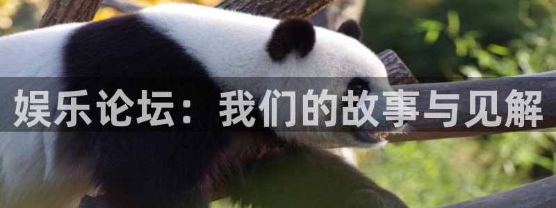壹号大舞台怎么注册：娱乐论坛：我们的故事与见解