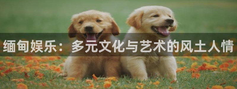 壹号官方app下载安装：缅甸娱乐：多元文化与艺术的风土人情