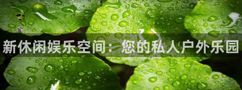 壹号电子娱乐app下载：新休闲娱乐空间：您的私人户外乐园