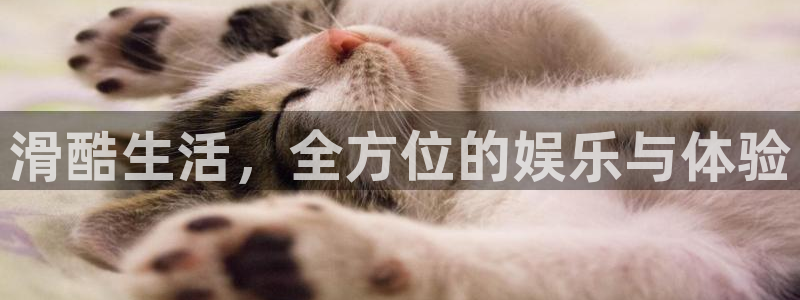 壹号官网app下载安装：滑酷生活，全方位的娱乐与体验