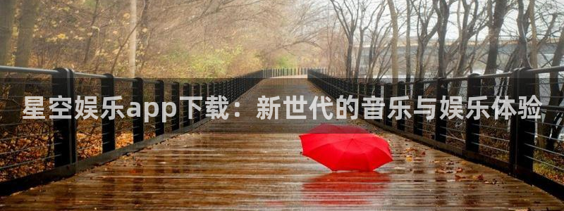 壹号娱乐下载入口：星空娱乐app下载：新世代的音乐与娱乐体验