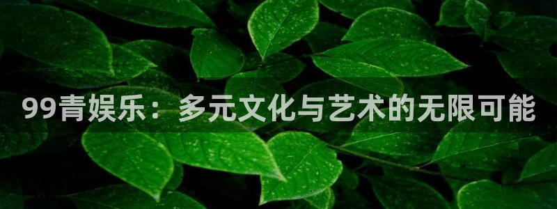 壹号玩家app下载：99青娱乐：多元文化与艺术的无限可能